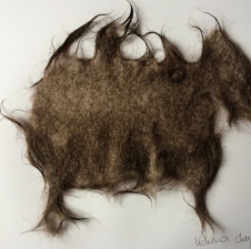 human hair project2